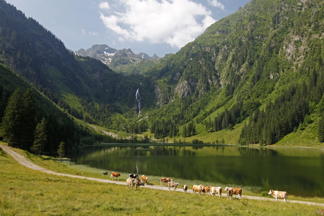 Bodensee©schladming-dachstein_raffalt