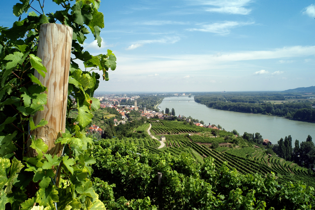 Krems an der Donau, © Winzer Krems, K.M.Westermann Dateigröße 6 MB